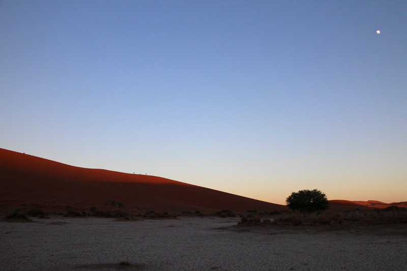 Accommodation Room Type 1 at Namib Dune Star Camp Sossusvlei Namibia