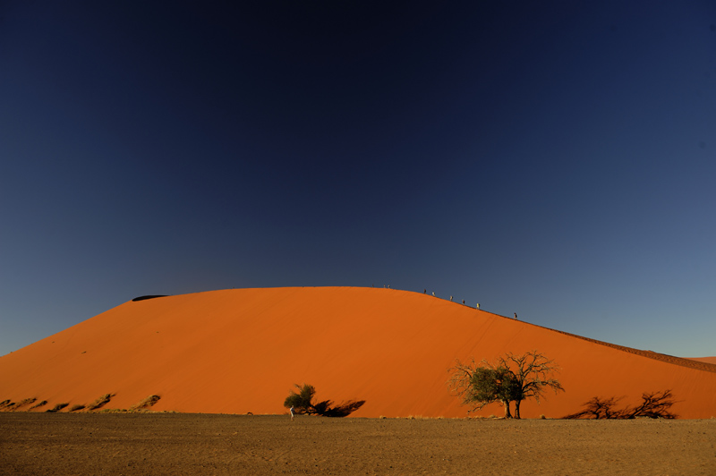 Accommodation Room Type 1 at Namib Dune Star Camp Sossusvlei Namibia