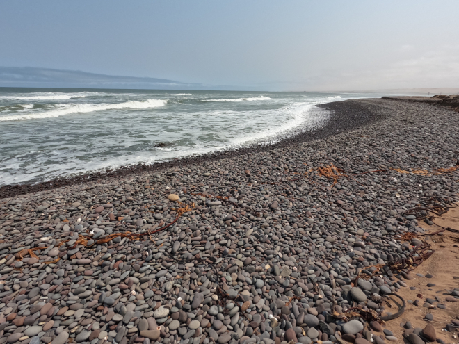 Skeleton Coast Terrace Bay things to do