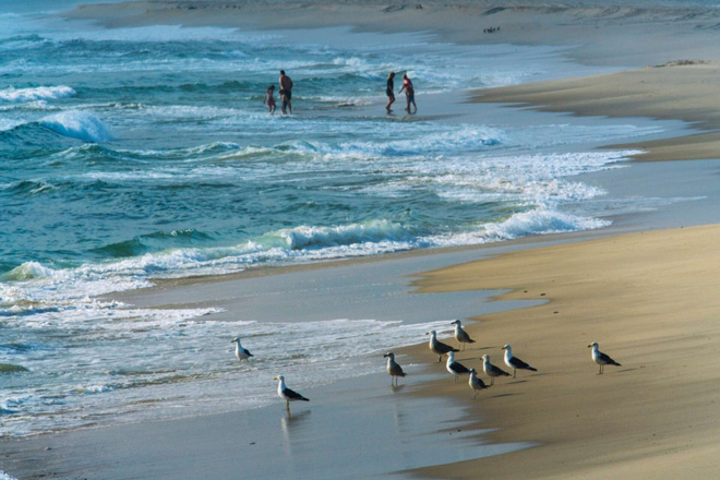 Photo of Torra Bay Campsite Accommodation at Skeleton Coast in Namibia