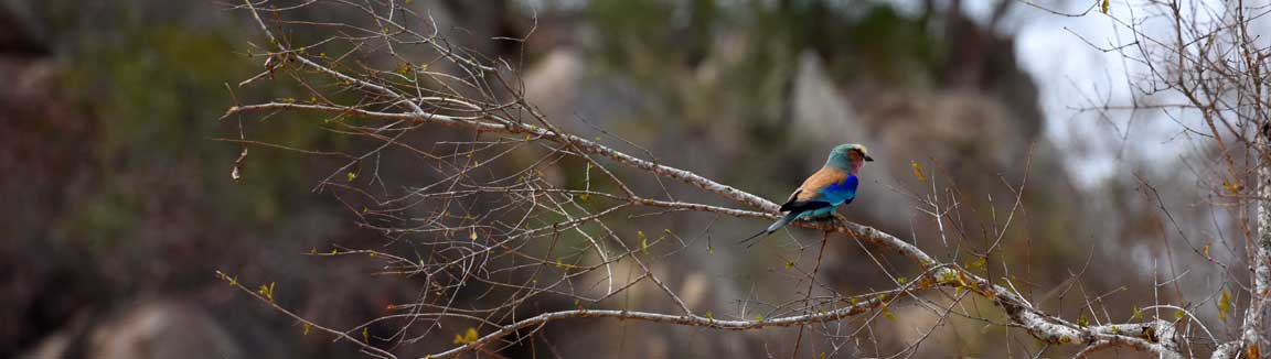 Waterberg Resort NWR Waterberg Plateau Park Namibia